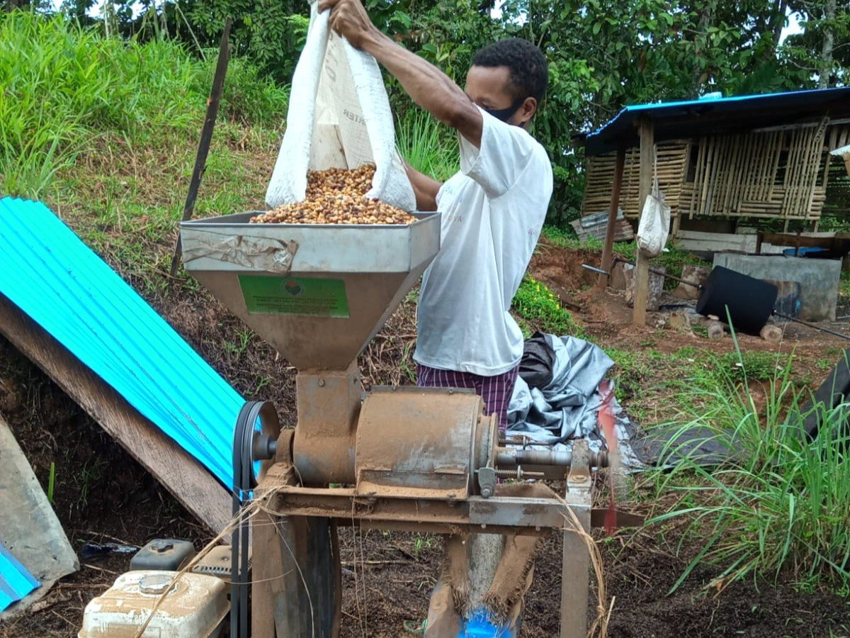 Pengolahan biji kopi